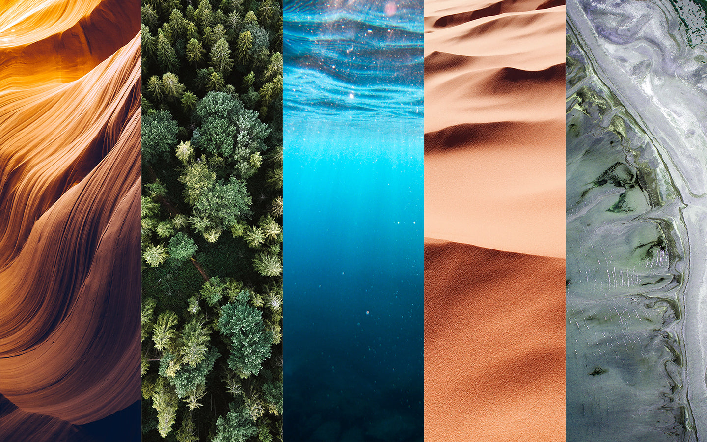 Three Ways to Invest in Our Planet: Earth Day 2022