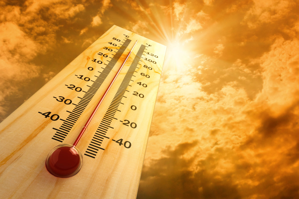 Avoiding Heat Stroke: The Crucial Role of Hydration with HidrateSpark