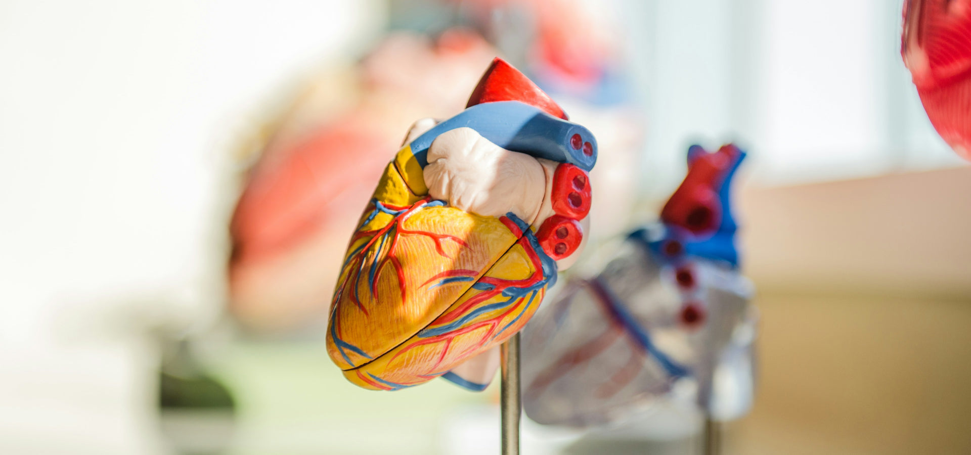 The Vital Link Between Hydration and Coronary Artery Disease